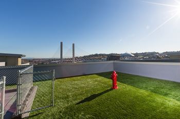 Paw Park at The Henry, Tacoma, WA, 98402